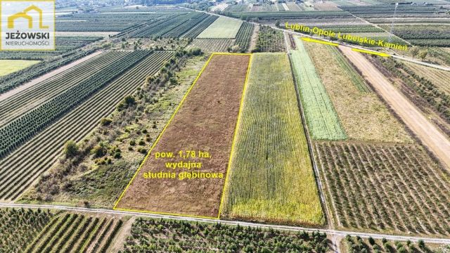 Działka rolna Kamień. Zdjęcie 3