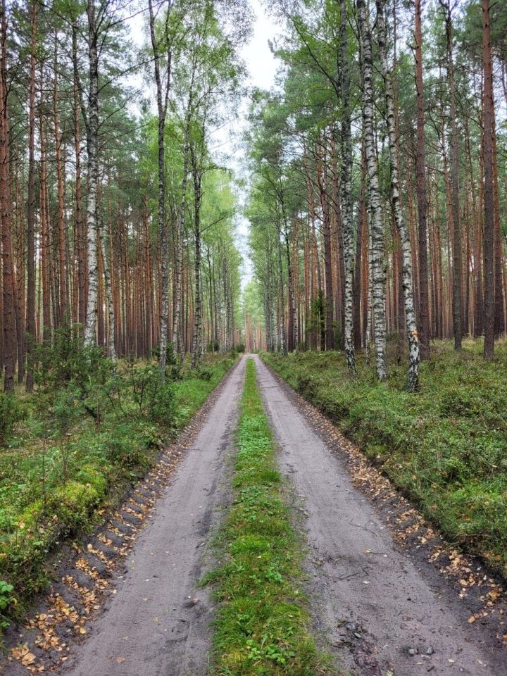 Działka budowlana Płociczno. Zdjęcie 3