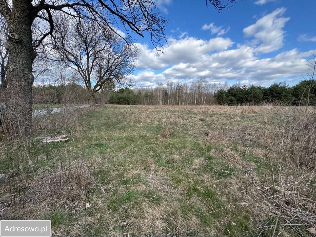 Działka budowlana Młoszów. Zdjęcie 6