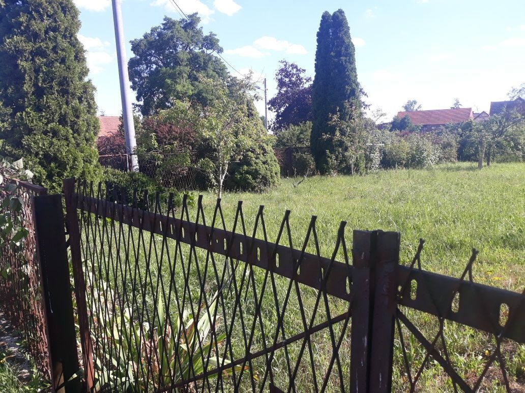 Działka rekreacyjna Olszany. Zdjęcie 6