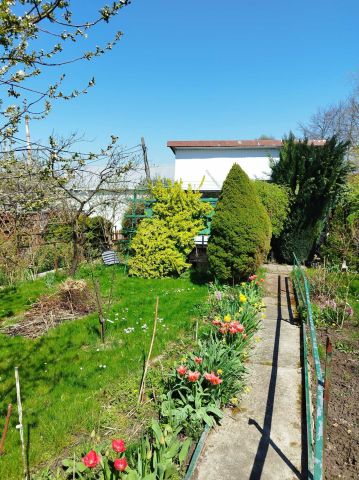 Działka rekreacyjna Jastrzębie-Zdrój. Zdjęcie 1