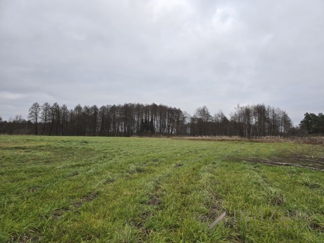 Działka rolna Drogosław. Zdjęcie 11