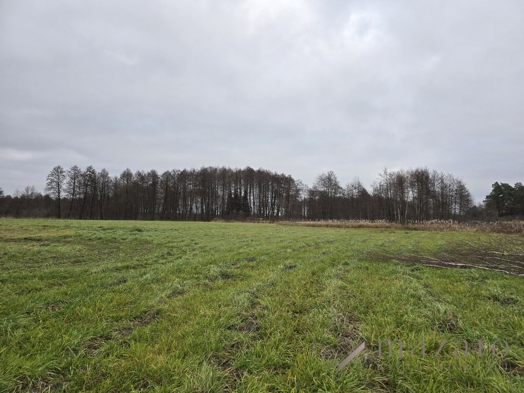 Działka rolna Drogosław. Zdjęcie 11