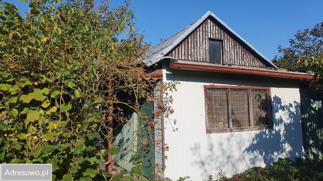 Działka rod Szczecin Śródmieście. Zdjęcie 1