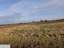 Działka rolno-budowlana Gdańsk Świbno. Zdjęcie 1