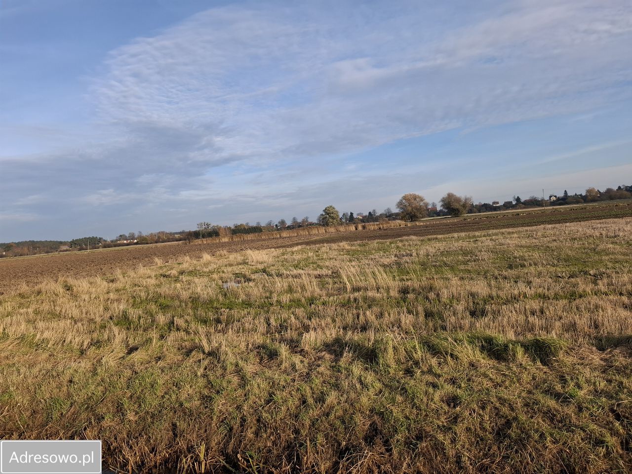 Działka rolno-budowlana Gdańsk Świbno. Zdjęcie 2
