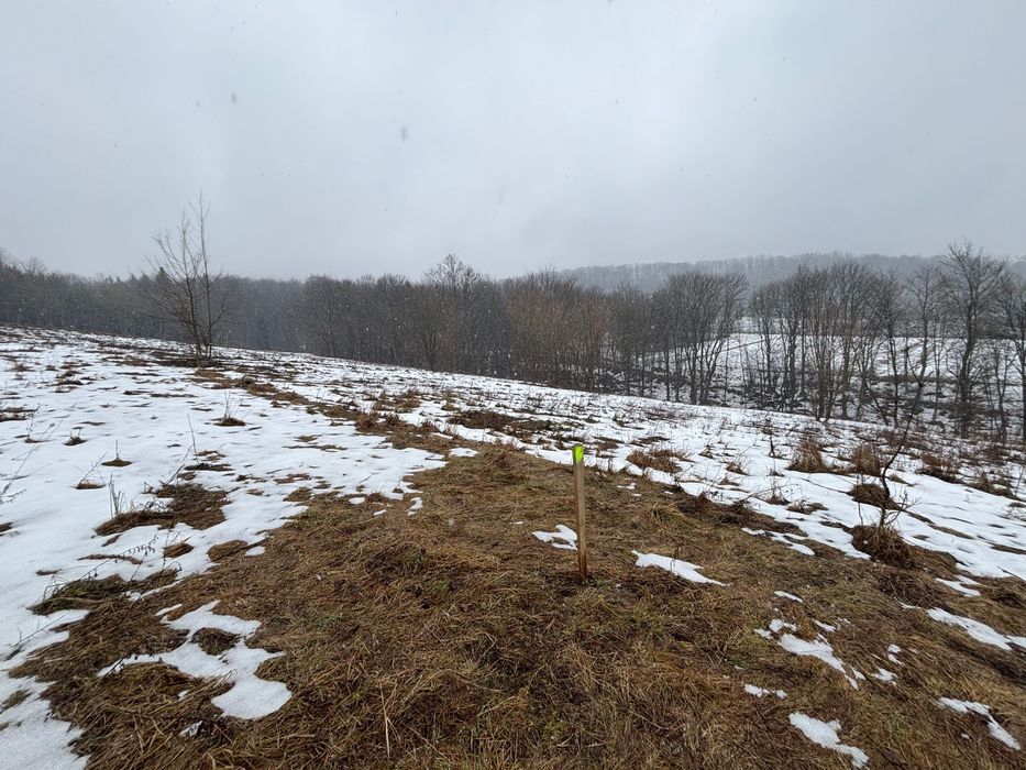 Działka budowlana Rymanów-Zdrój. Zdjęcie 6