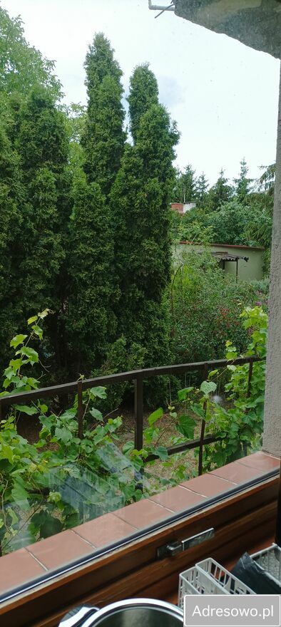 dom wolnostojący, 5 pokoi Pruszków Gąsin, ul. Edmunda Krzywdy-Rzewuskiego. Zdjęcie 10