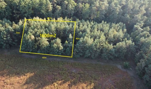 Działka budowlana Zalesie Borowe. Zdjęcie 5