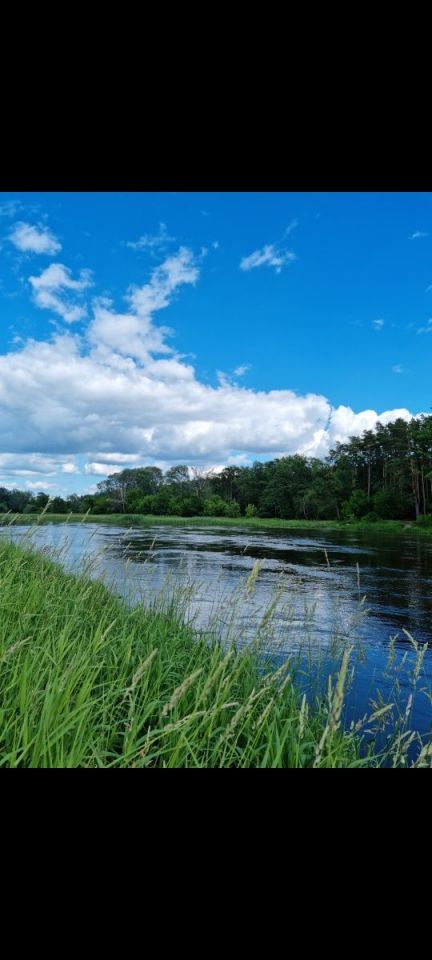 Działka rekreacyjna Stary Strachocin. Zdjęcie 4