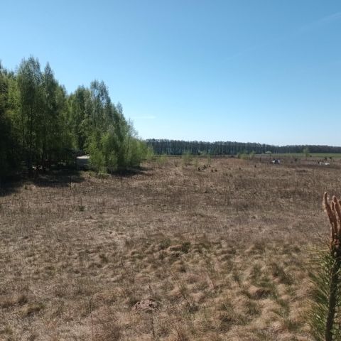 Działka budowlana Grąbczyn. Zdjęcie 1