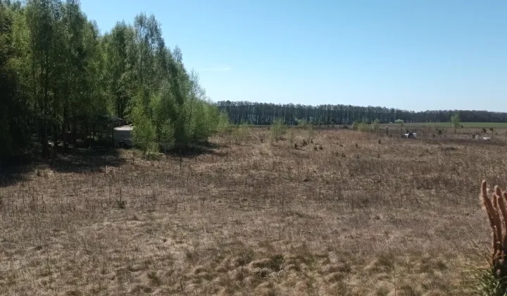 Działka budowlana Grąbczyn