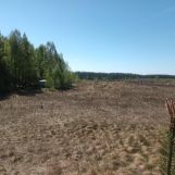 Działka budowlana Grąbczyn. Zdjęcie 1