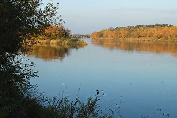 dom wolnostojący, 5 pokoi Gulczewo, ul. Jodłowa. Zdjęcie 10