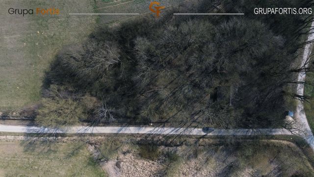 Działka siedliskowa Dębiany. Zdjęcie 10