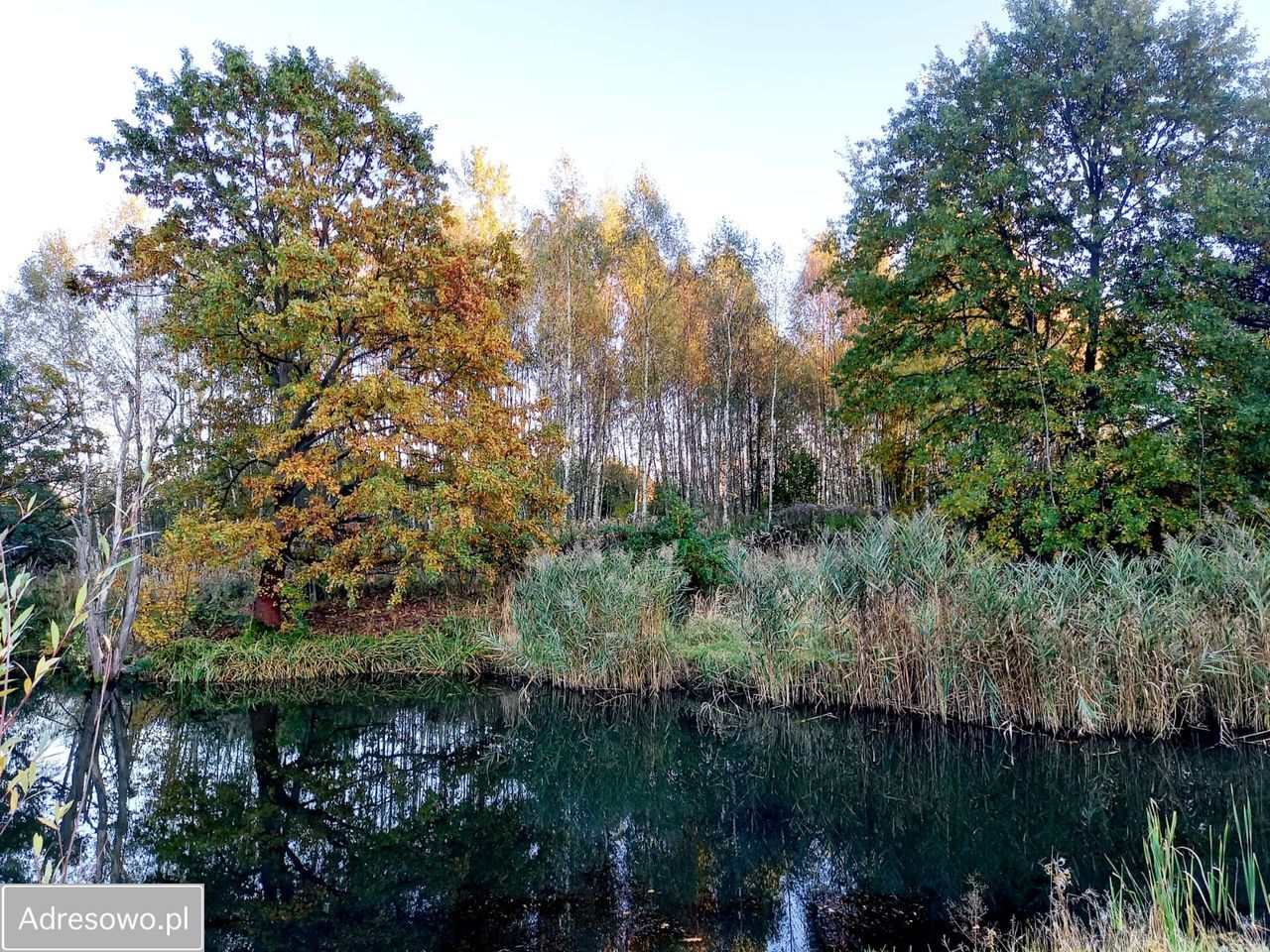 Działka inna Mysłowice Wesoła, ul. Zacisze. Zdjęcie 3