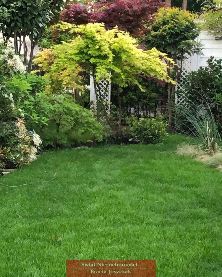 dom wolnostojący, 6 pokoi Wrocław Wojszyce. Zdjęcie 7