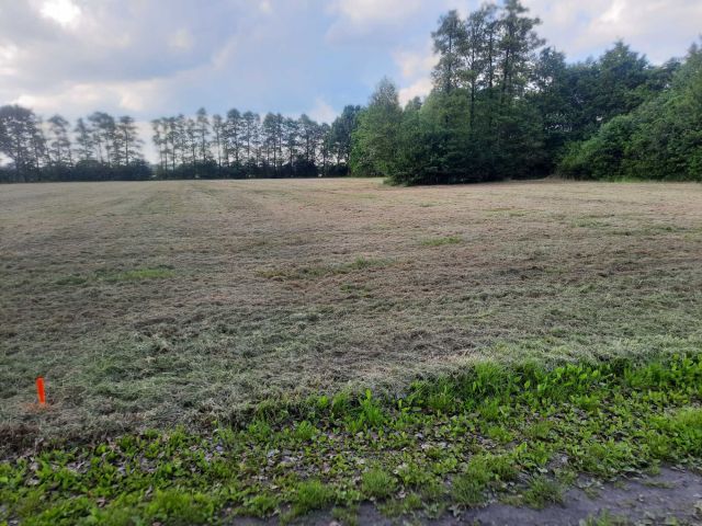 Działka budowlana Rajsko. Zdjęcie 1