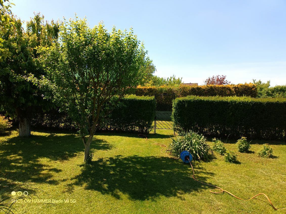 Działka rod Śrem. Zdjęcie 2