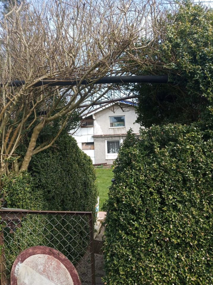 Działka rod Niekanin. Zdjęcie 2