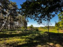 Działka siedliskowa Sudoł. Zdjęcie 2