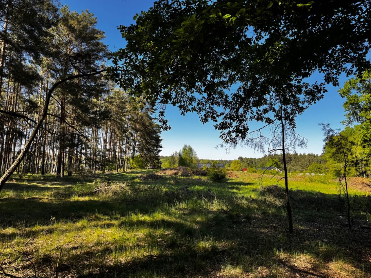 Działka siedliskowa Sudoł. Zdjęcie 3