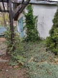 dom wolnostojący, 16 pokoi Starachowice Centrum, ul. Skalista. Zdjęcie 4