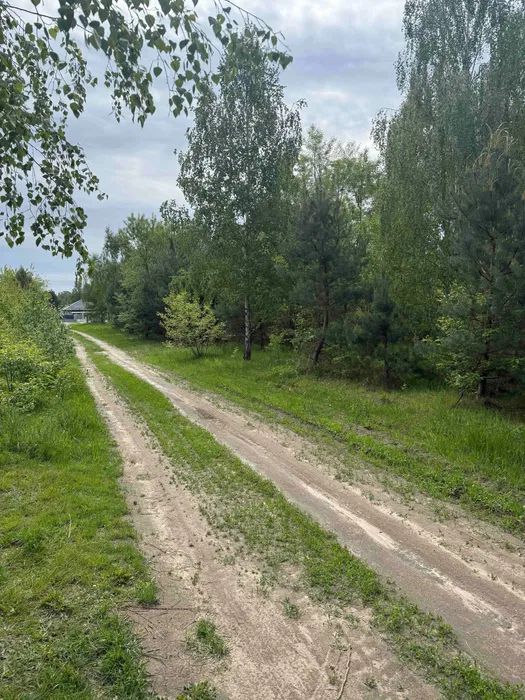 Działka budowlana Błędowo, ul. Karasia. Zdjęcie 3