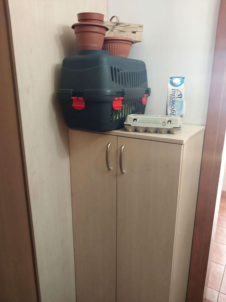 Mieszkanie 3-pokojowe Zielona Góra Centrum, ul. 1 Maja. Zdjęcie 16