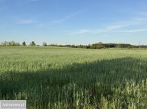 Działka rolna Modła. Zdjęcie 3