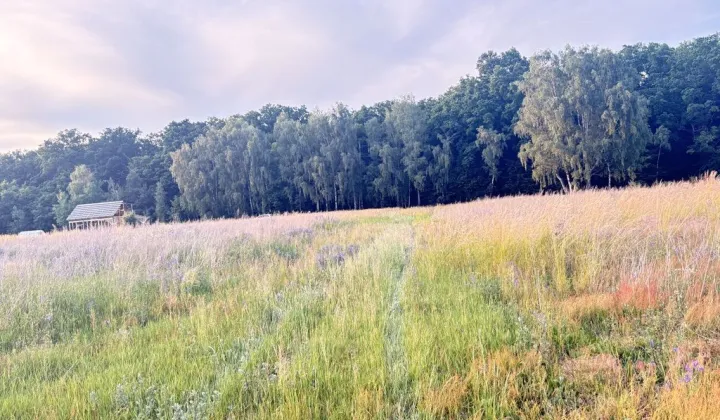 Działka rolno-budowlana Radziwiłłów