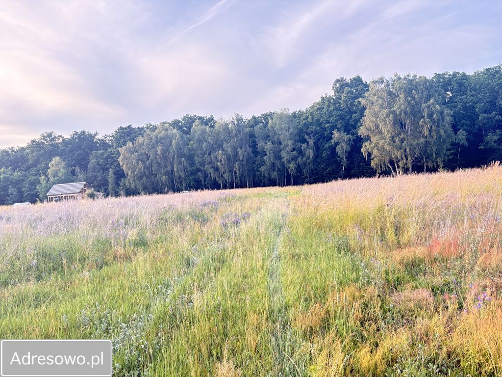 Działka rolno-budowlana Radziwiłłów. Zdjęcie 1