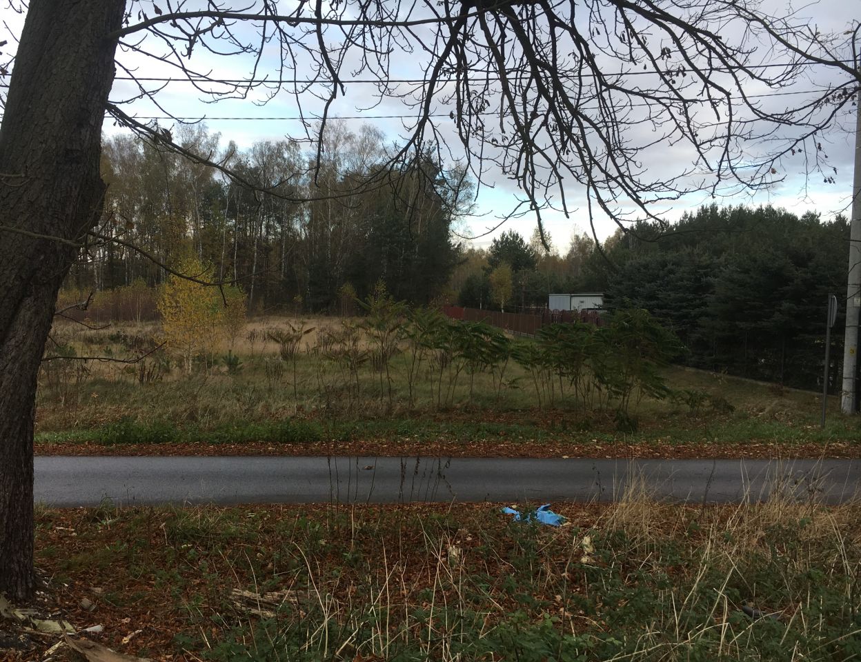 Działka Bieniewiec, bez pośrednika 1000 m2 90 000 zł