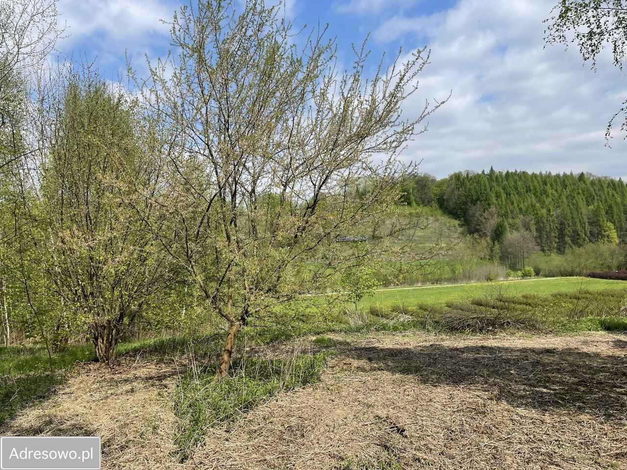 Działka budowlana Kazimierz Dolny. Zdjęcie 6