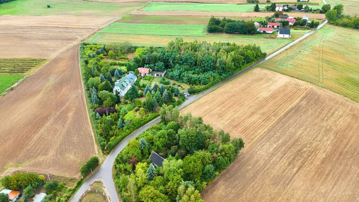 Działka rolna Zochcinek. Zdjęcie 9
