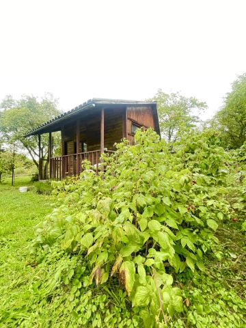 Działka rod Wrocław Partynice. Zdjęcie 1