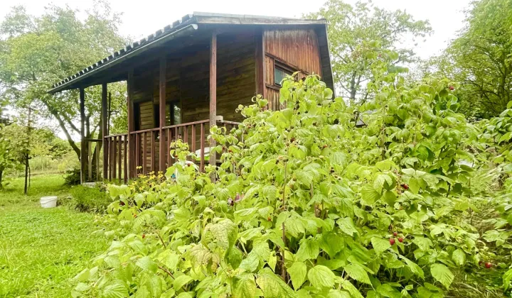 Działka rod Wrocław Partynice