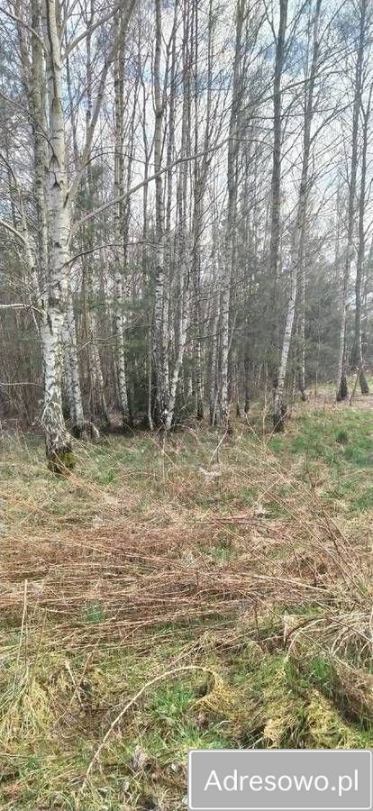 Działka budowlana Stary Sławacinek. Zdjęcie 6