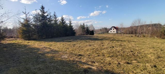 Działka budowlana Przyjaźń, ul. Góra Augusta. Zdjęcie 1