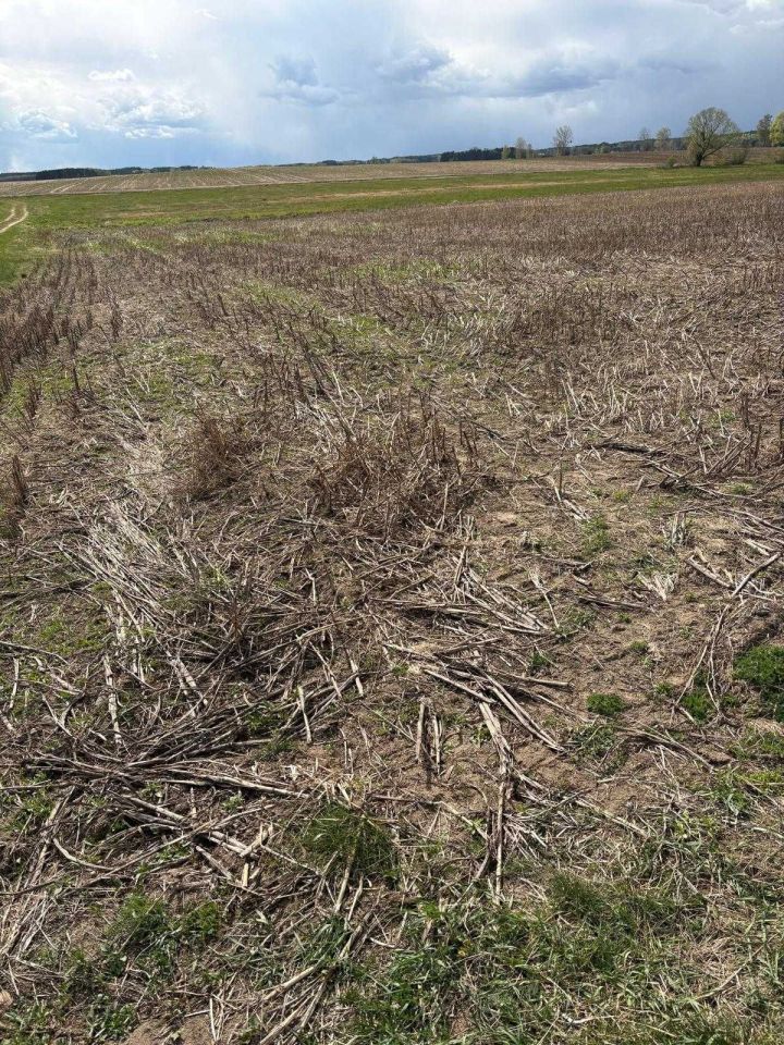 Działka rolna Doratynka. Zdjęcie 3