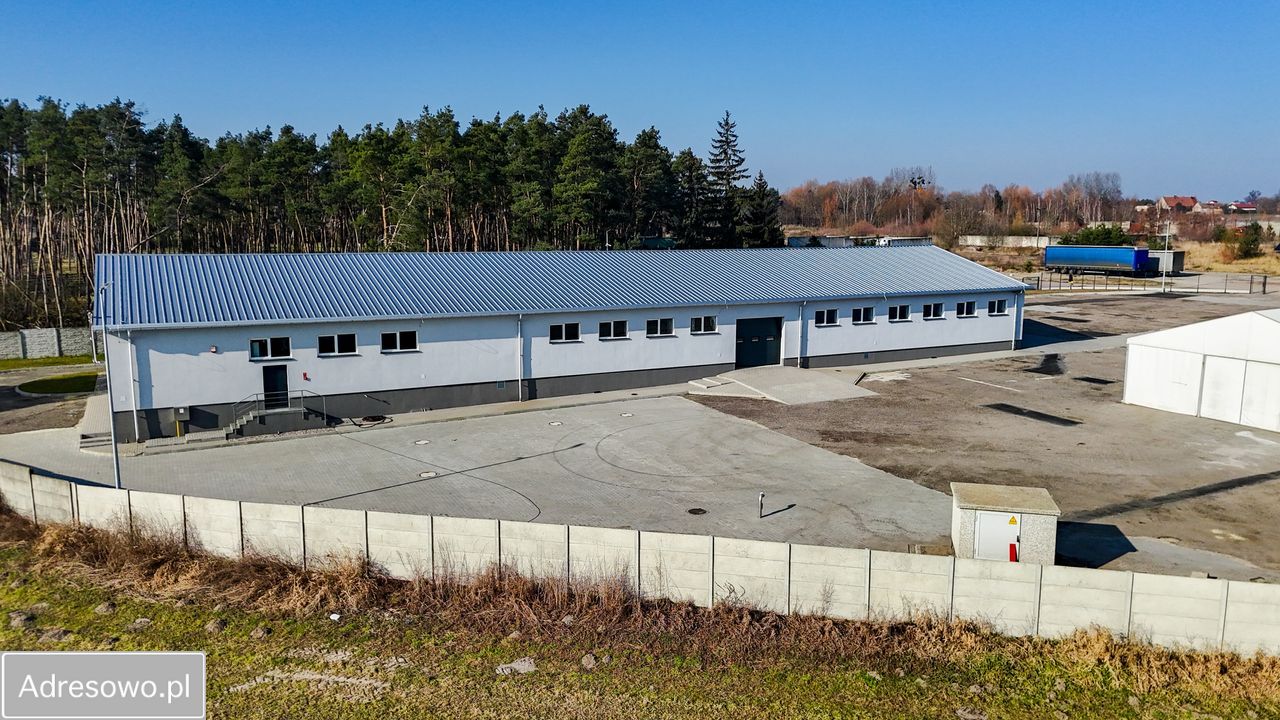 Działka inwestycyjna Czarne Piątkowo. Zdjęcie 4
