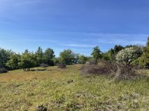 Działka rolno-budowlana Tolkmicko, ul. Morska. Zdjęcie 3