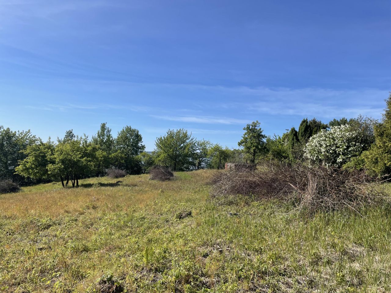Działka rolno-budowlana Tolkmicko, ul. Morska. Zdjęcie 4