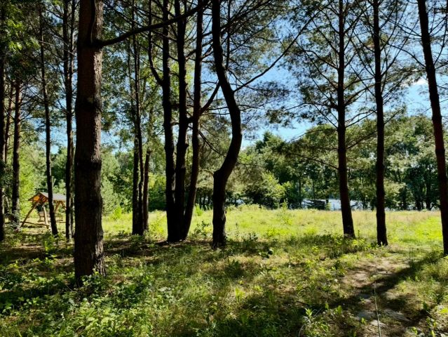 dom wolnostojący, 5 pokoi Tomaszkowo, ul. Wilgi. Zdjęcie 31