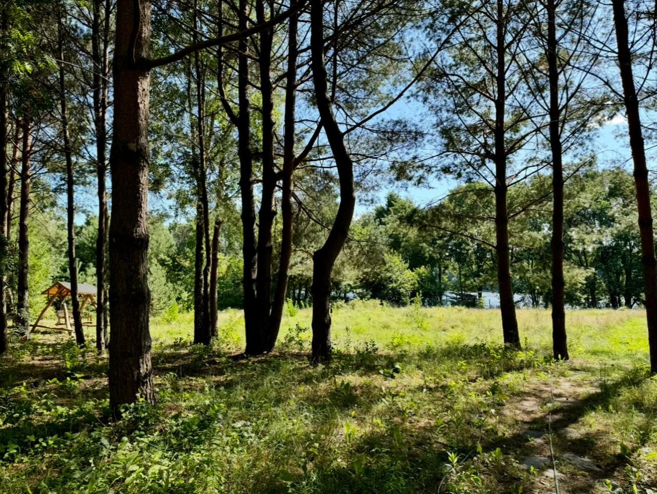 dom wolnostojący, 5 pokoi Tomaszkowo, ul. Wilgi. Zdjęcie 31