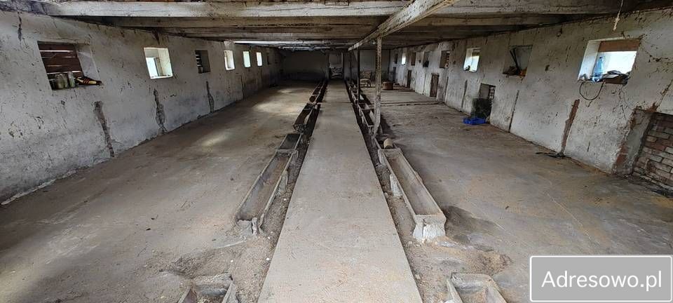 Działka rolno-budowlana Barnówko. Zdjęcie 3