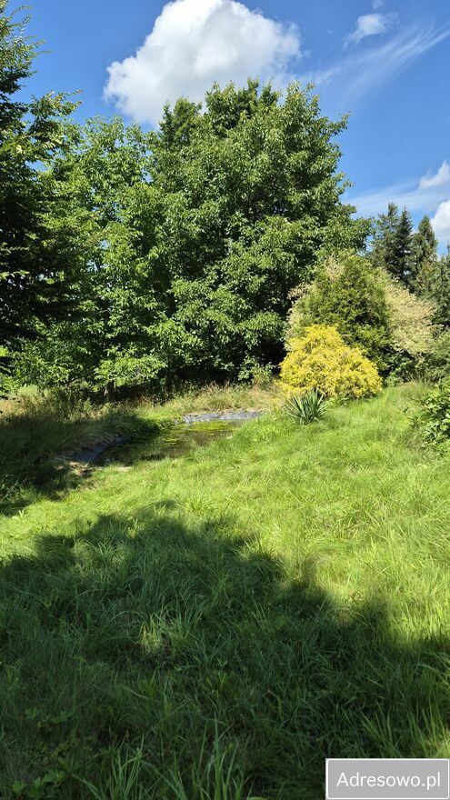 dom wolnostojący, 5 pokoi Grybów. Zdjęcie 5