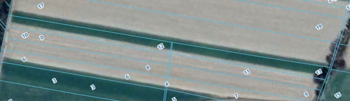 Działka rolna Szaniawy-Matysy. Zdjęcie 2