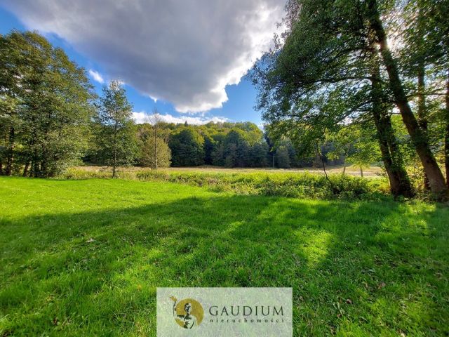 Działka Kobysewo. Zdjęcie 7