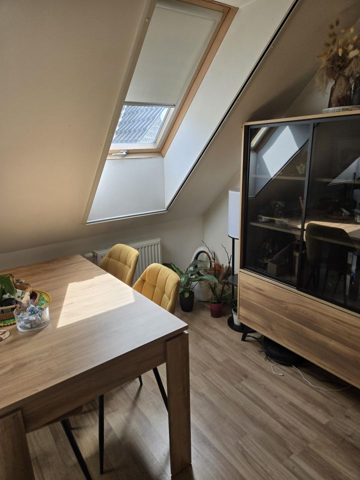 Mieszkanie 3-pokojowe Maksymilianowo, Łabędzia. Zdjęcie 21